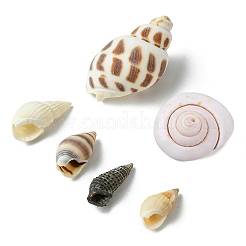 Натуральные спиральные бусы из ракушек&nbsp;SSHEL-YW0001-02