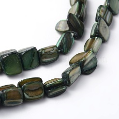 Бусины из натуральных морских раковин S00C50I2