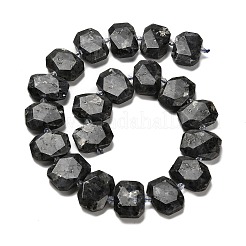 Натуральные нити бус из ларвикита G-H078-B06-01