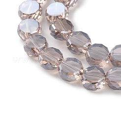 Стеклянные бусины с гальваническим покрытием  EGLA-C010-01A-PL04