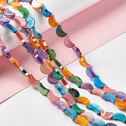 Нити бусин из натуральных пресноводных ракушек SHEL-F003-04