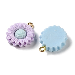 Подвески из непрозрачной смолы&nbsp;RESI-F065-01