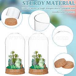 Стеклянный купол&nbsp;AJEW-WH0505-27