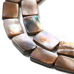 Нити бусин из натуральных морских раковин SHEL-K006-21