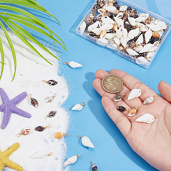 120 шт. 3 стиля подвески в виде ракушек PALLOY-HY00003