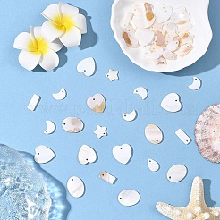 60шт 6 стиля подвески из натуральных пресноводных ракушек&nbsp;SHEL-YW0001-21