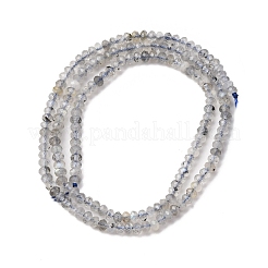 Природные лабрадорита бисер нитей G-RM2025-D17-B