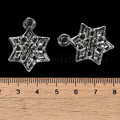 Прозрачные акриловые подвески TACR-G048-27