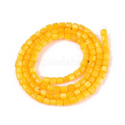 Окрашенные нити бусин из натуральных пресноводных ракушек SHEL-T020-56B