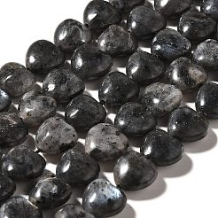 Натуральные нити бус из ларвикита G-R190-10mm-55