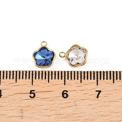 Стеклянные подвески&nbsp;STAS-P437-15G-G