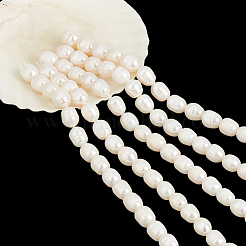 5 нить бусин из натурального культивированного пресноводного жемчуга PEAR-NB0002-60
