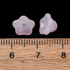 Краска для выпечки GLAA-T025-81C-05