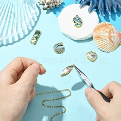 5 шт. подвески из натуральной ракушки пауа в 5 стилях KK-CJ0003-10