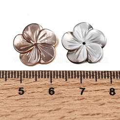 Натуральные черные резные бусины из ракушек&nbsp;SHEL-A006-11B