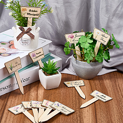 2 пакет деревянных этикеток для растений DIY-CP0012-70