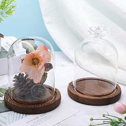 1 шт. стеклянный купол AJEW-SC0002-60A-04