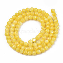 Нити бусин из натуральных пресноводных ракушек SHEL-N003-24-B08