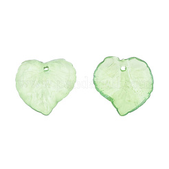 Прозрачные акриловые подвески DBLA410-10