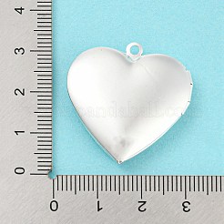 Подвески латуни медальон&nbsp;KK-M263-01S