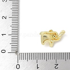 Латунные подвески&nbsp;LS-KK-S505-02G