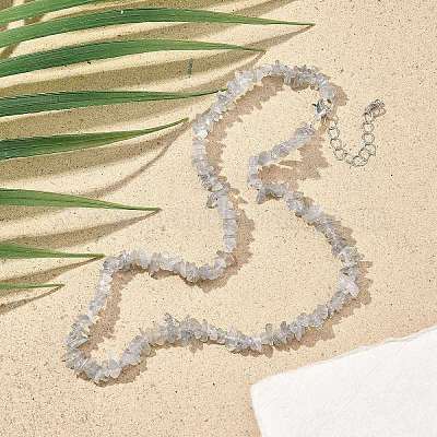 Ожерелья из бисера с натуральным лабрадоритом для мужчин и женщин NJEW-G159-01D-1