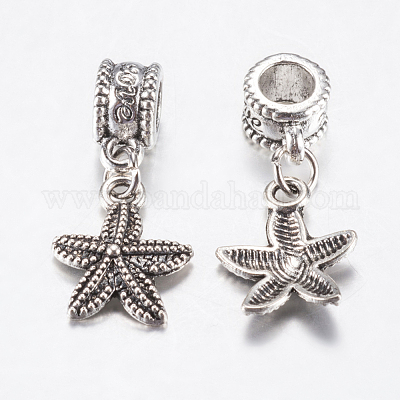 Европейские подвески из сплава в тибетском стиле PALLOY-F199-42AS-1