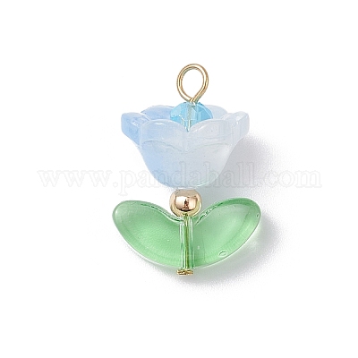 5шт подвески ручной работы лэмпворк PALLOY-TA00310-1