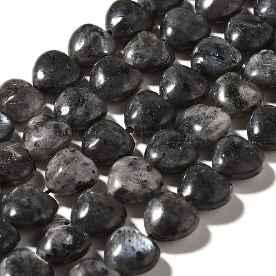 Натуральные нити бус из ларвикита G-R190-10mm-55-1