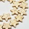 Dyed Synthetic Turquoise Bead Strands, Star, Beige, 14x15x5mm, Hole: 1mm, about 21pcs/strand, 15.6 inch