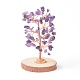 Натуральные аметистовые чипсы с латунной обернутой проволокой денежное дерево на деревянной основе украшения дисплея DJEW-B007-05B-1