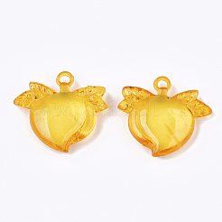 Прозрачные акриловые подвески&nbsp;TACR-S133-039