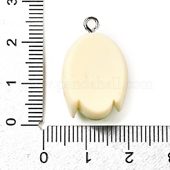 Подвески из непрозрачной смолы&nbsp;FIND-I044-11