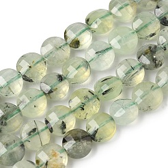 Природные пренит нитей бисера G-C179-A51-03