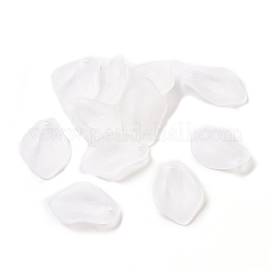 Прозрачные акриловые подвески&nbsp;OACR-A017-16