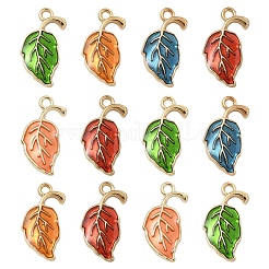 30шт 5 цвета сплава эмалевые подвески&nbsp;ENAM-YW0006-05