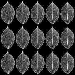 100 шт. сушеные цветы и листья&nbsp;AJEW-CP0009-41B