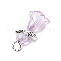 6шт прозрачные акриловые подвески PALLOY-JF03287