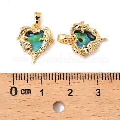 Подвески в форме сердца из натуральной ракушки пауа&nbsp;KK-G538-29G