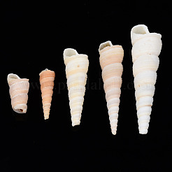 Натуральные спиральные бусы из ракушек SSHEL-S266-030