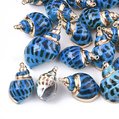 Аэрозольная краска и гальванические спиральные подвески SSHEL-S262-03