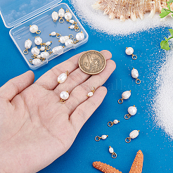 30шт 3 стиля подвески из натурального культивированного пресноводного жемчуга&nbsp;PALLOY-PH01886