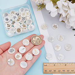 48шт 8 стиля подвески из натуральных пресноводных ракушек SHEL-ME0001-08