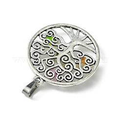 Антикварные серебряные тона сплава подвески&nbsp;PALLOY-JF02361-02