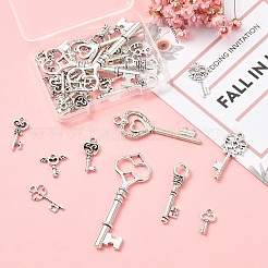 30шт 10 стиля подвески из сплава в тибетском стиле&nbsp;TIBEP-YW0002-07