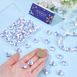 60шт фарфоровые бусины ручной работы&nbsp;PORC-SC0001-30B