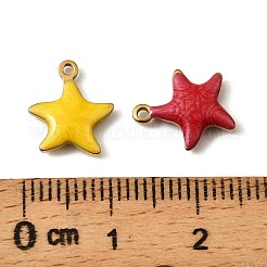 Подвески из эмалированной нержавеющей стали 304&nbsp;X-STAS-P405-01D-G