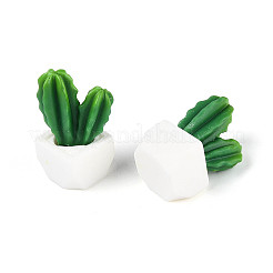 Кактусовые миниатюрные украшения DJEW-CJC0005-01F