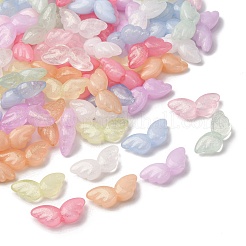 Светящиеся прозрачные акриловые бусины&nbsp;X-LACR-S001-08