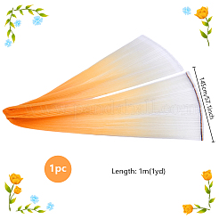 1 м плиссированная отделка из полиэстера с градиентным цветом&nbsp;DIY-WH0308-617